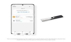 如何安全高效地取消狗狗