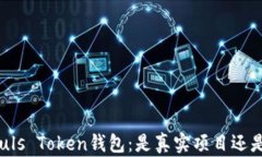 解析Puls Token钱包：是真实项目还是骗局？