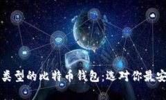 深入比较不同类型的比特币钱包：选对你最安全